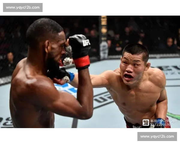 李景亮对决一龙视频解析职业搏击与传统武术真实差距揭秘全景呈现